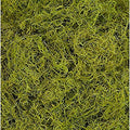 1 lb Bag Preserved & Dyed Chartreuse Spanish Moss (0905317175) - color: Chartreuse