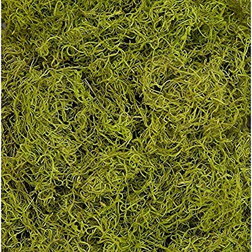 1 lb Bag Preserved & Dyed Chartreuse Spanish Moss (0905317175) - color: Chartreuse