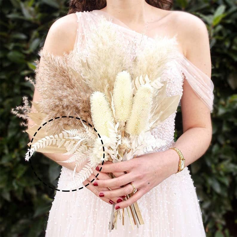 Preserved Real Green Ferns Dried Green Fern Tips Stems Wedding Garlands Home Decorations Bouquets Flower Arrangements Wall Hanging Dried (White)(20 Stems) - color: White-fern-20
