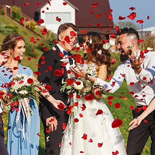 Ouddy Decor 5000 Pcs Rose Petals Artificial Flower for Valentine's Wedding Decor Romantic Night Event Anniversary Shower Engagement Party Home Decorations, Red - color: Red