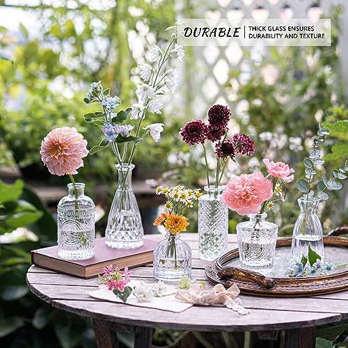 SUPMIND 12pcs Glass Bud Vase Set, Small Clear Flower Vases for Centerpieces in Bulk, Mini Vintage Vase for Wedding, Home,Table Decoration - color: Clear, size: 12Pcs
