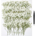 112Pcs Babys Breath Mini Dried Pressed Flowers for Crafts, Real Natural Flat White Dry Flowers Bulk for DIY Wedding Invitation, Resin Art, Card, Bookmark, Scrapbook, Jewelry, Frame, Candle,Soap Making - color: White Baby's Breath 112pcs