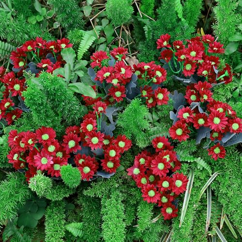 24 Bundles Artificial Daisy Flowers for Outdoor - Fake Mums Faux UV Resistant Daisies Plants Florals for Home Garden Patio Front Porch Outside Decorations - Red