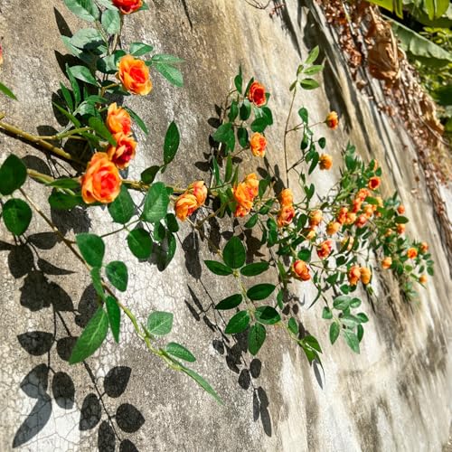 6FT Bendable Yellow Orange Rose Flower Garland, Artificial Silk Wild Roses Vine Leaves Hanging Flowers for Wall Fireplace Fence Trellis Wedding Home Spring Summer Decor(2PC) - color: Yellow-orange, size: 2