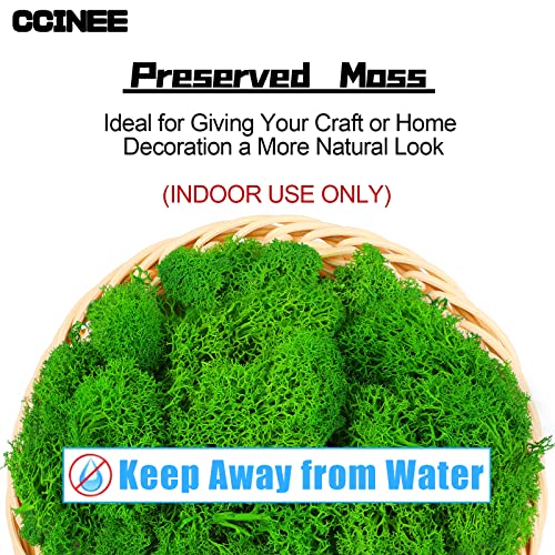 CCINEE Moss Preserved, 4 OZ Fake Green Reindeer Moss for Potted Plants for Craft Arts Floral Wall Decor Wedding Centerpieces Fairy Garden Artificial Terrariums Decoration for Christmas(Green) - color: Green