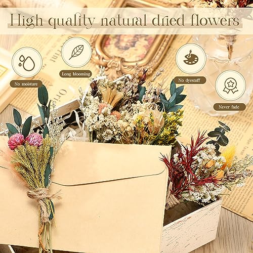 Layhit 12 Pcs Boho Dried Flower Bouquet Mini Wedding Handmade Dry Flowers Decor for Vase Crafts DIY Photo Boutonniere for Men Floral Plant for Bridesmaid Gift Birthday Decor(Bright) - style: Bright