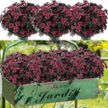 Lyrow 100 Bundles Violet Artificial Flowers, UV Resistant Faux Silk Flowers Outdoor, Fake Violet Bulk for Front Porch Hanging Garden Courtyard Farmhouse Home (Black and Red) - color: Black and Red