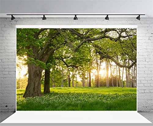 Leowefowa 7X5FT Spring Backdrop Rural Forest Trees Backdrops for Photography Blooming Flowers Green Grassland Nature Vinyl Photo Background Kids Adults Outdoor Travel Portraits Studio Props - size: 7x5ft