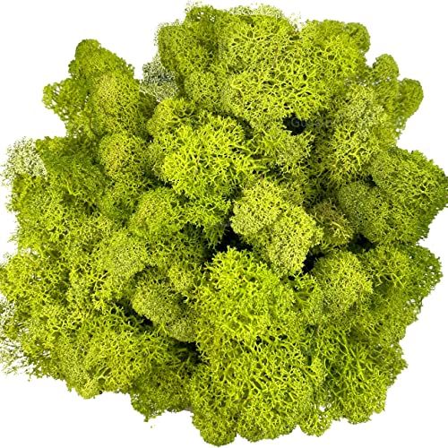 Moss Preserved Artificial Moss for Potted Plants Natural Fresh Green Moss for Craft Arts Project Wall Decor Table Fake Moss Wedding Centerpieces Garden Terrariums Decoration Chartreuse 3.5OZ - color: Chartreuse, size: 3.5oz