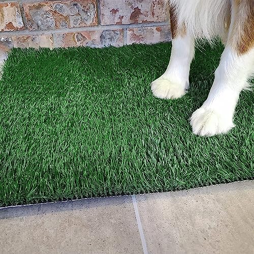 Dog Grass Pet Loo Indoor/Outdoor Portable Potty, Dog Litter Box, Artificial Grass Patch Bathroom Mat and Washable Pee Pad for Puppy Training, Full System with Trays (Pet Training Tray, 20"x16") - size: 20"x16"（4 Layer Potty System)