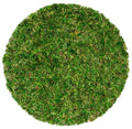 SuperMoss (26320) Moss Soil Toppers (Place Mats), Fresh Green, 14" (3 units) - color: Fresh Green, size: 14" (3 units)