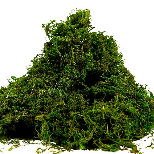 Fake Moss for Crafts, Artificial Green Moss for Potted Plants Centerpieces Decor (3.5OZ)