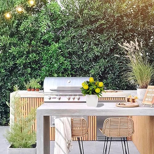 Yoratee 4pcs Artificial Lemon Plants Fake Fruit Potted Plant 6inches Fake Lemons Tree with Small Pot Mini Fake Plant for Indoor Outdoor Home Bathroom Decor - color: Type B