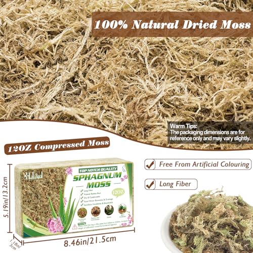 Halatool 12OZ Orchid Moss Sphagnum for repotting, 16QT Dried Sphagnum Moss for Plants Indoor, Maintain Air Humidity and Improve Soil Acidity, Natural Media for Orchid Plant Growth - size: 16 qt (0.8 lbs)