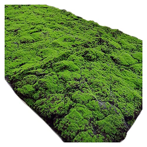 YIQIFLY Simulation Artificial Moss Mat Fake Grass Rug DIY Synthetic Turf Lawn Carpet for Wedding Home Backyard Balcony Indoor Outdoor Decor (Color : Dark Green, Size : 1x1m(3.2x3.2ft)) - color: Dark Green, size: 3.2 x 3.2 ft