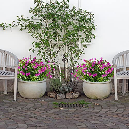 10PCS Artificial Flowers, Fake Artificial Greenery UV Resistant No Fade Faux Plastic Plants for Wedding Bridle Bouquet Indoor Outdoor Home Garden Kitchen Office Table Vase(Fuchsia) - color: Fuchsia