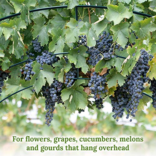 Multi-Size Large Garden Support Arch Frame Climbing Plant Arch Arbor for Flowers/Fruits/Vegetables (8.2ft x 7ft x 7.2ft) - size: 8.2 ft x 7 ft x 7.2 ft