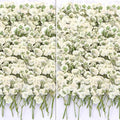 110Pcs Dried Pressed Baby's Breath Flowers - 100% Natural Flat Real White Gypsophila Baby Breath, Pressed Flowers for Resin Art, Epoxy Coasters, Wedding Invitations, Scrapbooking, Frame Decorations - size: 110