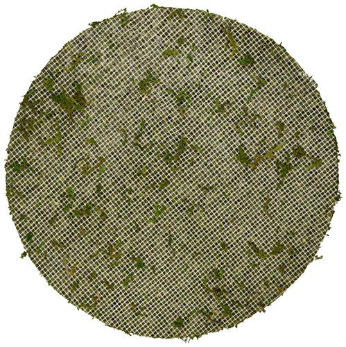 SuperMoss (26335) Moss Soil Toppers, Fresh Green, Assorted 4 Sizes - color: Fresh Green, size: 4 units: 4", 5", 6", 8"