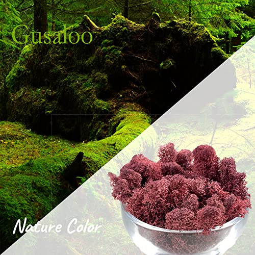 Moss Preserved Artificial Moss - Natural Fresh Green for Craft, Arts, Floral Projects, Wall & Table Decor, Wedding Centerpieces, Garden Terrariums - Dark Pink, 3.5OZ - color: Dark Pink, size: 3.5oz