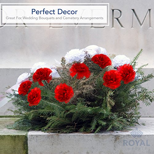Royal Imports Artificial Carnations, Silk Faux Flowers, for Funeral Arrangements, Wedding Bouquets, Cemetery Wreaths, DIY Crafts - 100 Single 5" Stems - Ivory - color: Ivory