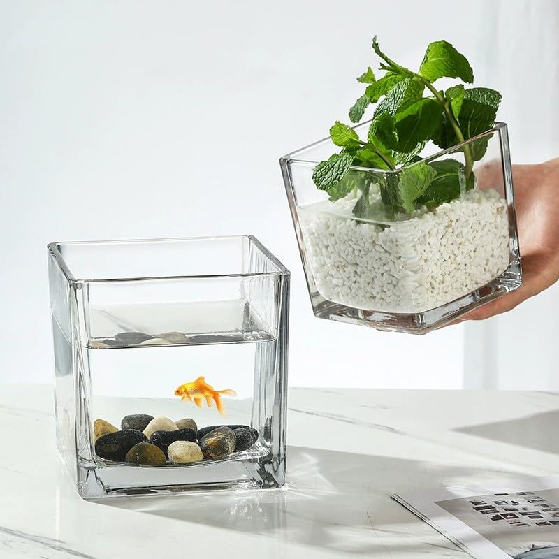 Set of 6 Square Glass Vases for Centerpieces – 4" x 4" x 4" Clear Short Vases, Flower Vase, Plant Terrariums, or Candle Holders for Wedding Centerpieces, Office Decor, Home Décor, Parties - size: 4in-6pcs