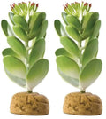 Exo Terra Jade Cactus Terrarium Plant (Pack of 2) - size: One Size (Pack of 2), style: Jade Cactus