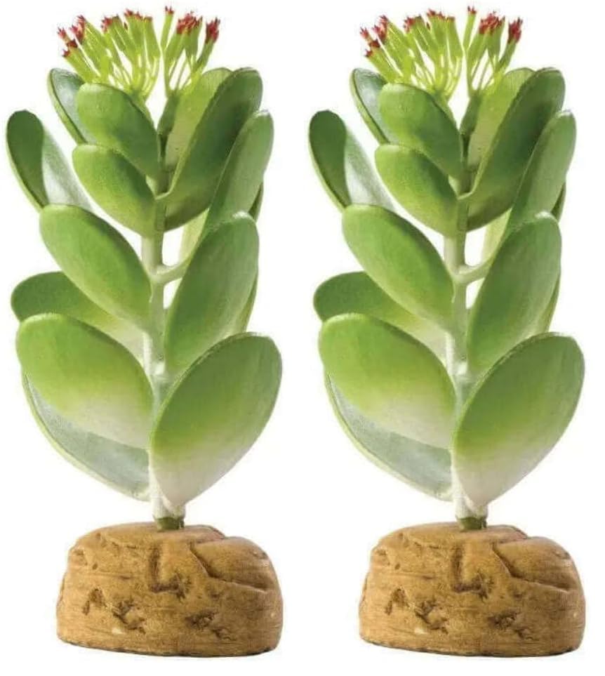 Exo Terra Jade Cactus Terrarium Plant (Pack of 2) - size: One Size (Pack of 2), style: Jade Cactus