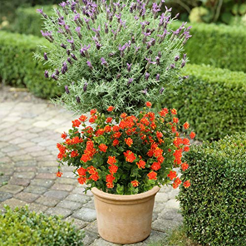 10PCS Artificial Flowers, Fake Artificial Greenery UV Resistant No Fade Faux Plastic Plants for Wedding Bridle Bouquet Indoor Outdoor Home Garden Kitchen Office Table Vase(Orange Red) - color: Orange Red