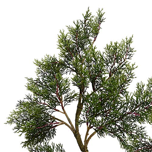 Vickerman 6' Artificial Potted Cedar Tree - Decorative Tree - Home or Office Decor - Realistic Faux Cedar Tree - Artificial Greenery for Indoors - Stunning Accent - Beautiful Addition