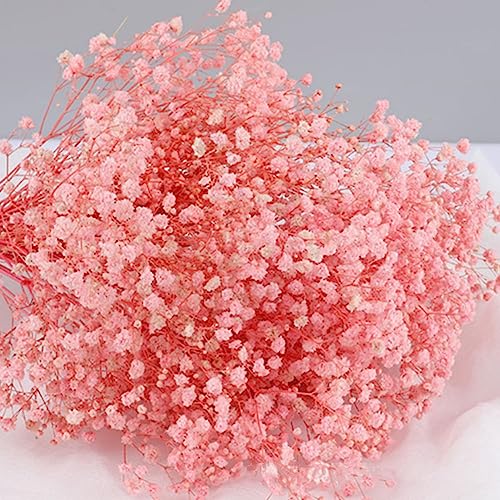 17.2 Inch Dried Flowers Baby's Breath Bouquet - 2500+ Dry Flowers,Natural Gypsophila Branches for Home Decor, Wedding, Table Decor, DIY Wreath Floral, Dry Flowers Bulk for Vase (Pink) - color: Pink