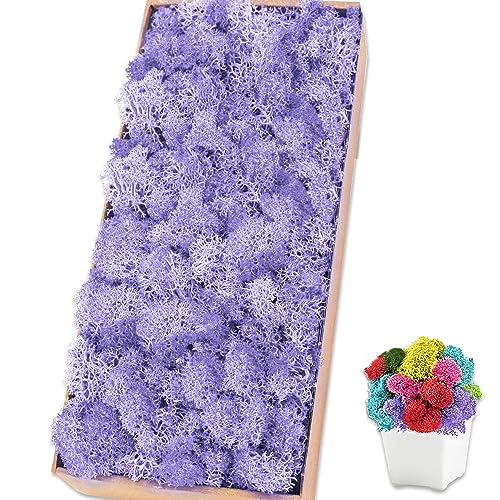Preserved Moss for Crafts Light Purple Reindeer Moss for Potted Plants, Craft Decorative Moss Decor for Wall Art, Dried Moss(1.1 lb, Light Purple) - color: Light Purple, size: 1.1 LB