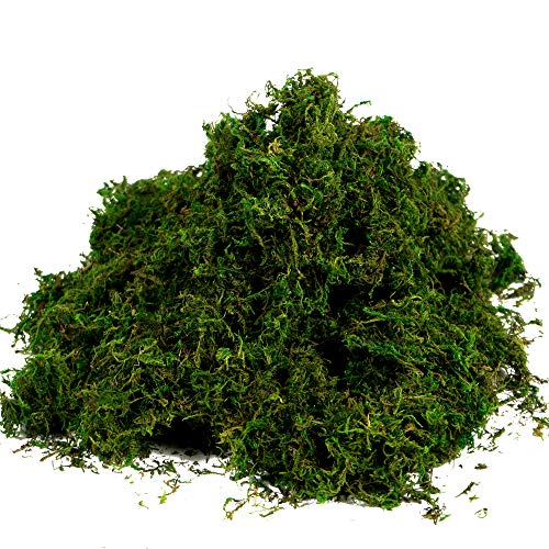 Artificial Moss Fake Green Grass for Centerpieces Home Kitchen Garden Decor (3.5OZ, Fresh) - color: 3.5oz, Fresh