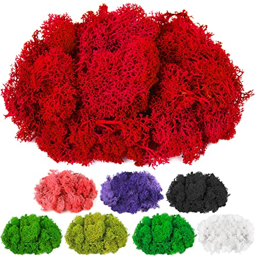 CCINEE Moss Preserved, 4 OZ Fake Reindeer Moss for Potted Plants for Craft Arts Floral Wall Decor Wedding Centerpieces Fairy Garden Artificial Terrariums Decoration for Christmas(Rose Pink) - color: Rose Pink