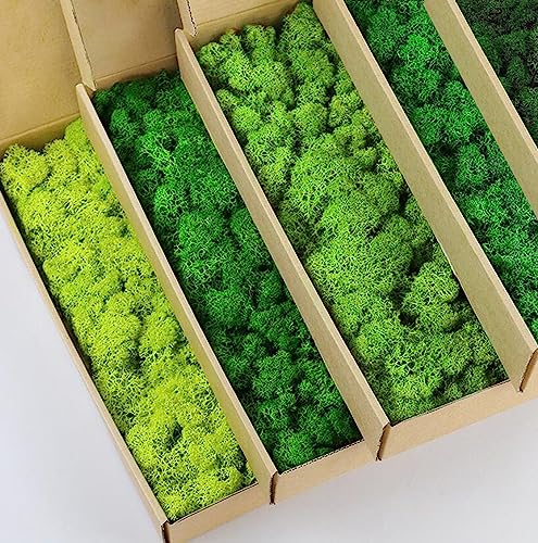 Preserved Reindeer Moss Natural Green DIY Kit Gardenning Art Wall Decor Florist Decor Easter Table Decor Wedding - color: Color Mix-Green-(01+02+03+04+12), size: 1 lb