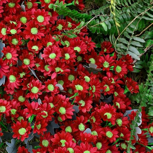 24 Bundles Artificial Daisy Flowers for Outdoor - Fake Mums Faux UV Resistant Daisies Plants Florals for Home Garden Patio Front Porch Outside Decorations - Red