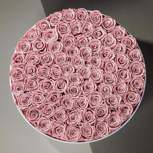 Prifroti 75 Preserved Roses in Suede Box – Luxury Rose Flower Arrangement, Preserved Flowers Gifts for Women, Wife or Mom – Birthday, Anniversary, Valentine’s Day, Mother's Day (Dusty Rose) - color: Dusty Rose, size: 75 Roses