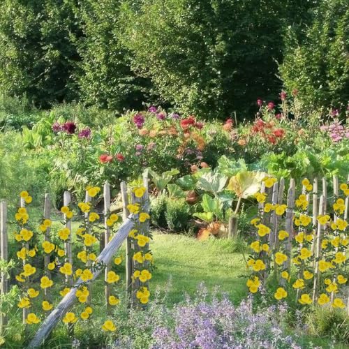 2 Pcs Wildflower Garland Spring Flowers Garland Yellow Artificial Daisy Flowers and Leaves Faux Floral Vine for Mantle Baby Shower Wedding Arch Front Door Porch Staircase Summer Decor - color: Yellow