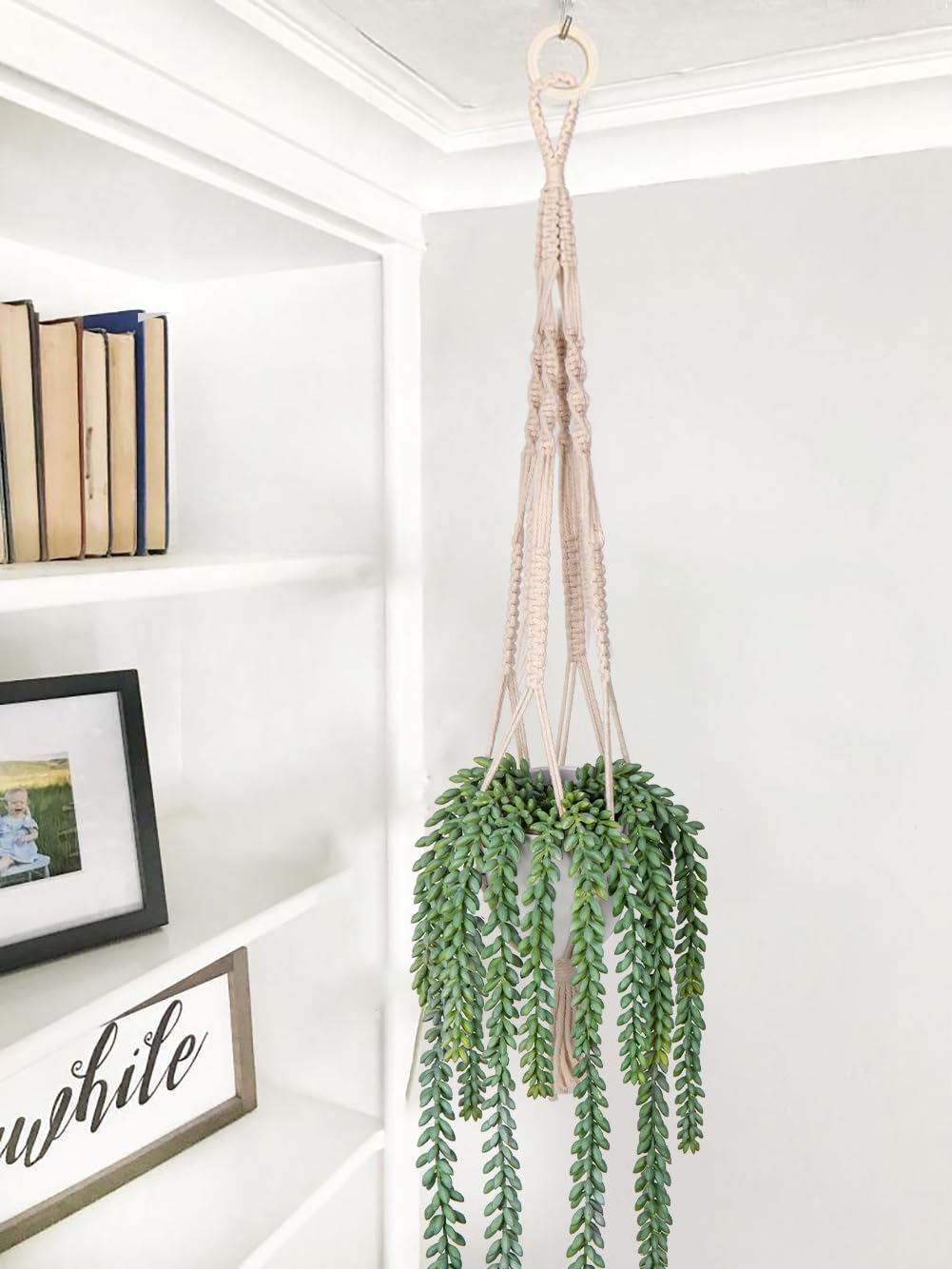 GnFlus Fake Hanging Plant - 18 Inches Artificial Decor with Cotton Hangers - Realistic Faux Vine Plant - Indoor/Outdoor Wall Boho Home Decor - color: Burro's Tail, size: 18in