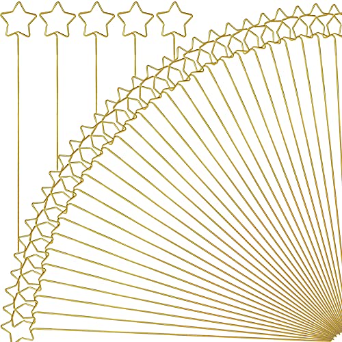 H&W 12''L Golden Ring Loop Star Shape Card Holders 40PCS Floral Picks Clips for Wedding & Flower Arrangements, DIY Craft Wire Clip Table Card Holders Note Photo Picture Memo Cake Topper (Star) - color: Star
