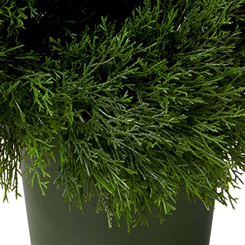 Nearly Natural Double Pond Cypress 4 ft. H Spiral Topiary UV Resistant with 1036 Leaves (Indoor/Outdoor) - size: 10 in x 48 in x 10 in