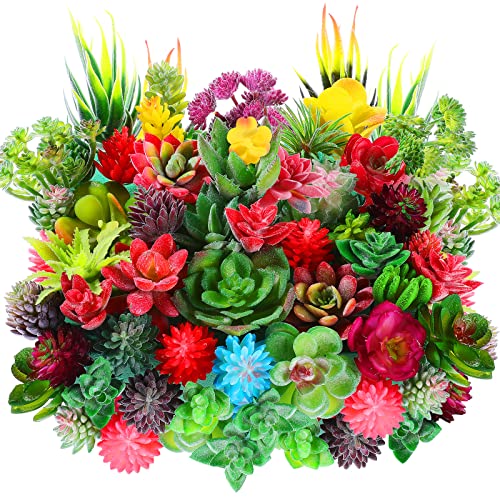 WILLBOND 50 Pcs Bulk Mini Artificial Succulents Plants Assorted Unpotted Realistic Plants Fake Textured Succulent Picks Realistic Plastic Cactus Stems for Succulent Garden Home Decor (Normal Style) - color: Normal Style