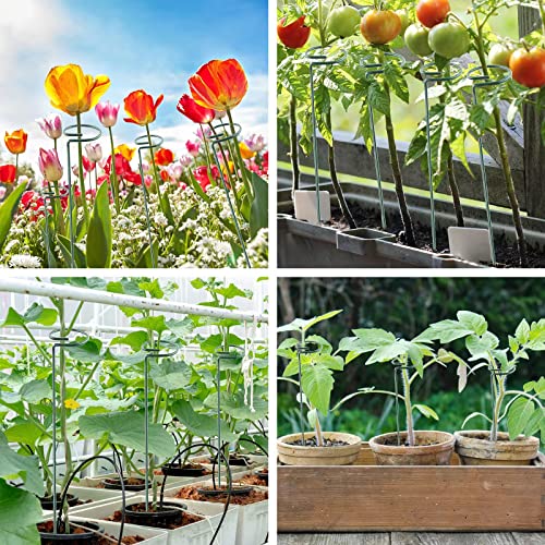 Thealyn 24 Inch 20 Packs Plant Support Stakes, Garden Single stemmed Plant Support Hoops Plant Prop for Flowers Orchid Tomatoes Peony Lily Rose Gladiolus (24 inch) - color: 24 inch-Green