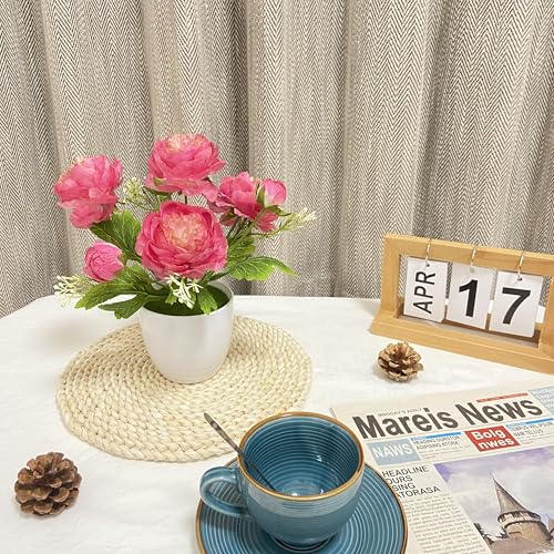 2 Packs Small Potted Silk Artificial Flowers, Fake Potted Ranunculus Plants for Spring Home Desk Decor Wedding Centerpiece, Indoor Faux Plants with Lightweight Pots (Rose Red) - color: Rose Red