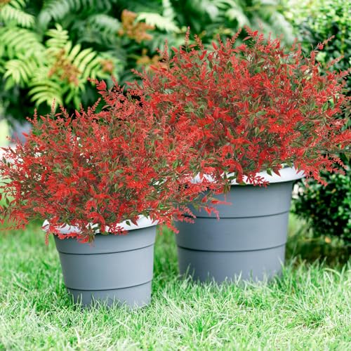 42 Pcs Fake Lavender Flowers Outdoor UV Resistant Faux Plastic Lavender Flowers No Fade Artificial Lavender Purple Plants for Outside Garden Porch Window Box Hanging Planter Decor (Red) - color: Red, size: 42 Pcs