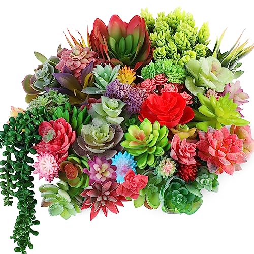 WILLBOND 50 Pcs 50 Pcs Bulk Mini Artificial Succulents Plants Assorted Unpotted Realistic Plants Fake Textured Succulent Picks Realistic Plastic Cactus Stems for Garden Home Decor (Large Style) - color: Large Style