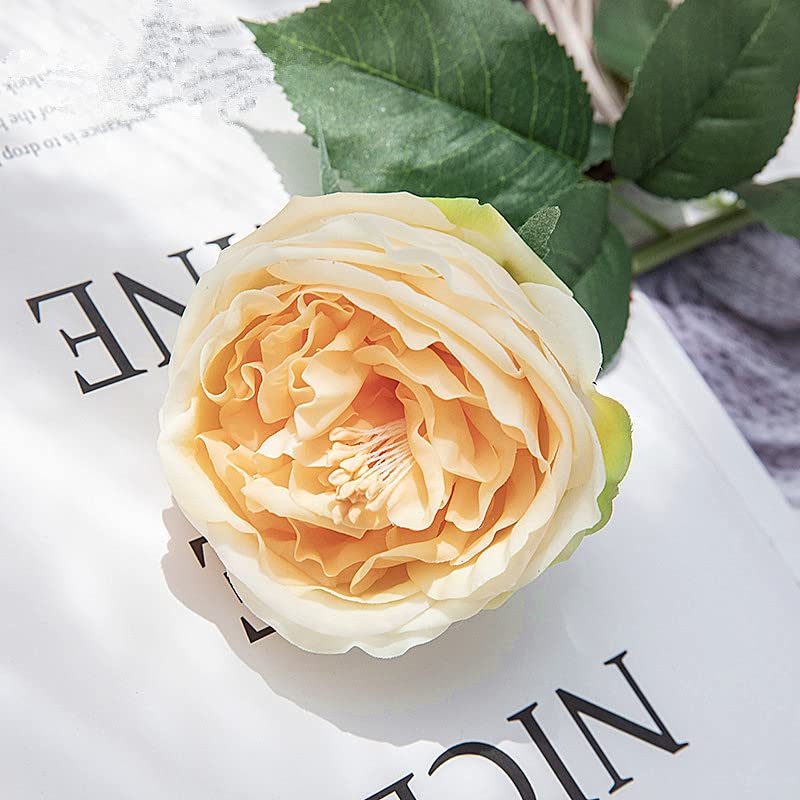 UKELER Artificial Roses 4 Pcs Real Touch Artificial Flowers Champagne Austin Rose Peony with Stem for Home Decor Flower Arrangement Wedding Party Decoration - color: Champagne