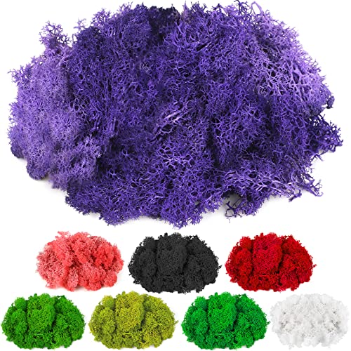 CCINEE Moss Preserved, 4 OZ Fake Reindeer Moss for Potted Plants for Craft Arts Floral Wall Decor Wedding Centerpieces Fairy Garden Artificial Terrariums Decoration for Christmas(Purple) - color: Purple