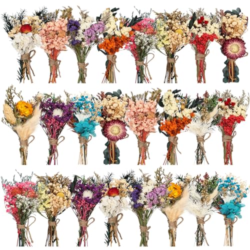 Layhit 24 Pcs Boho Dried Flower Bouquet Mini Wedding Handmade Dry Flowers Decor for Vase Crafts DIY Photo Boutonniere for Men Floral Plant for Bridesmaid Gift Birthday Decor(Colorful) - style: Colorful