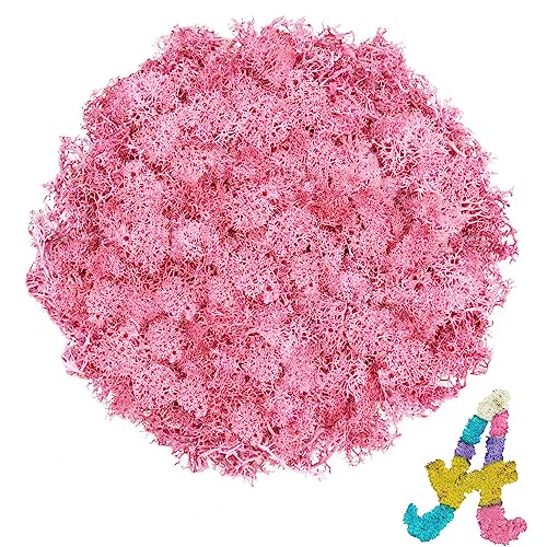 Preserved Reindeer Moss, 3.5 oz Pink Decorative Craft Moss for Potted Plants, Fairy Gardens, DIY Wall Art, Floral Arrangements, Christmas Easter Wedding Holiday Decor - color: Pink, size: 3.5 OZ